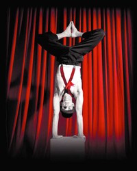 Body Bending Circuses Image 6