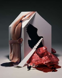 Surreal Photo Staging Image 8