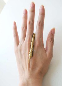 Golden-Clawed Jewelry Image 4