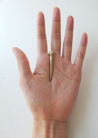 Golden-Clawed Jewelry Image 5