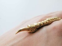 Golden-Clawed Jewelry Image 8