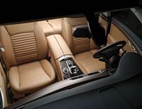 Leather Brand Automobiles Image 6