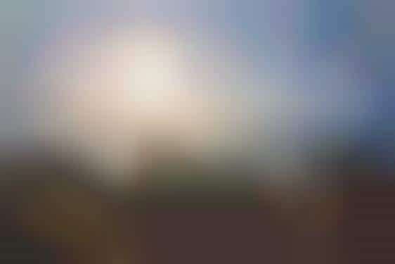Plastic Bag Photography