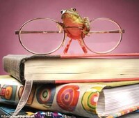 Amphibious Still Life Art Image 8