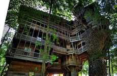 Treetop Mansions