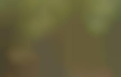 Camera-Trap Photography