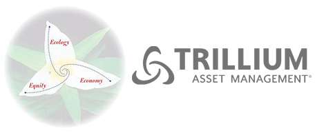 Socially Responsible Investment Firms