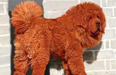 Million Dollar Puppies