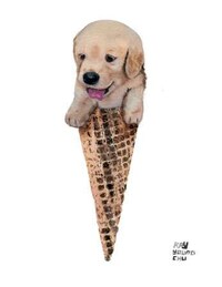 Deliciously Cute Illustrations Image 7