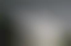 Windowless Abodes