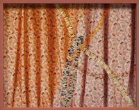 Obstructed Commercial Photography Image 5