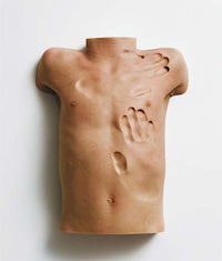 Body-Exploring Books Image 2
