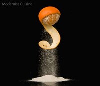 Gastronomic Manifestos (UPDATE) Image 3