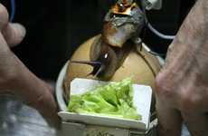 Mollusk Health Sentries