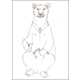 Cuddly Judicial Sketches Image 3
