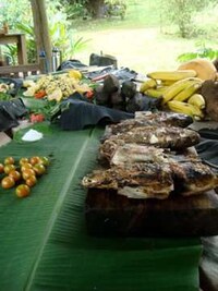 Utopic Eco Villages Image 7