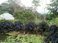 Utopic Eco Villages Image 8