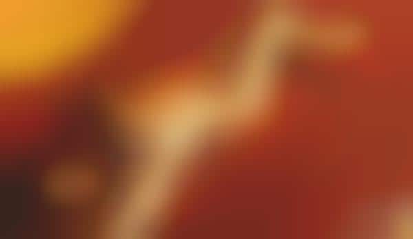 Hip Hop Hottie Ads