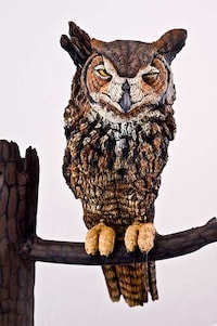 Avian Word Art Image 2