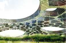 Sand Dollar Superstructures