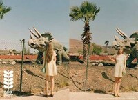 Dino-Lovin' Lookbooks