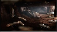 House-Demolishing Monster Ads Image 3