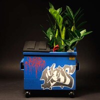 Gritty Graffiti Compartments Image 2
