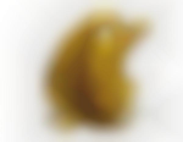 Mutated Vegetable Photography