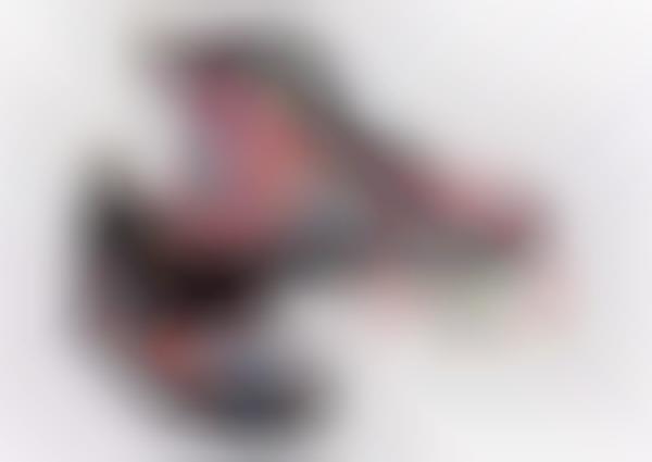 Japanese Cartoon Kicks