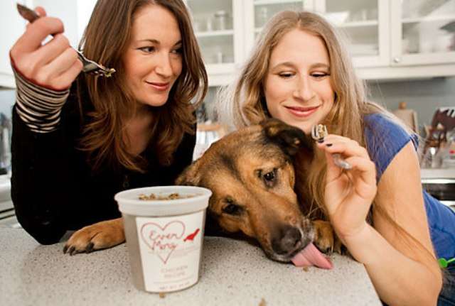 Pet Food Meal Plans