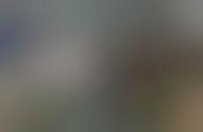 Robotic Dessert Toys