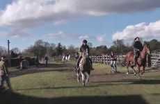 Extreme Equestrian Sports
