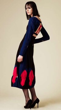 Swimsuit Dresses Image 4