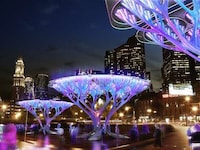Synthetic Eco Trees Image 2