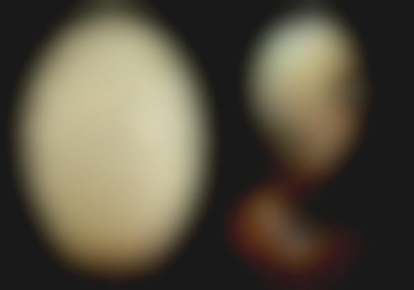 Puzzling Egg Art