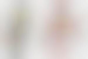 Bathing Celeb Tea Bags : Sex Tea and Rock N Roll