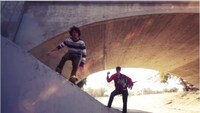 Skateboarding on Dogs Image 4