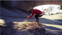 Skateboarding on Dogs Image 6