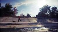 Skateboarding on Dogs Image 8