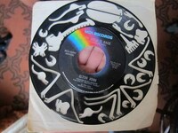 3D Vinyl Puzzles  Image 4