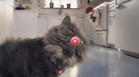 Interactive Touching Commercials Image 2