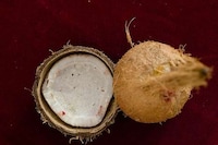 Banana-Based Vehicles Image 3
