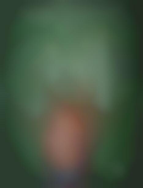 Catty Social Media Categorizing