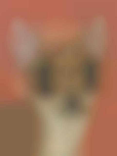 Alien Puppy Portraits