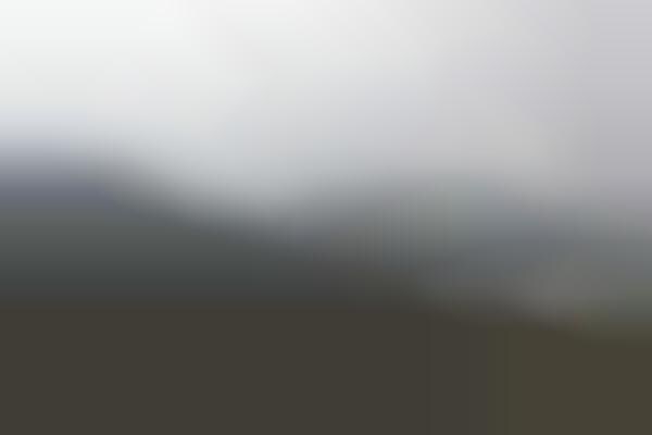 Time-Lapse Winery Photography