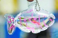 Pocket Aquariums (UPDATE) Image 2