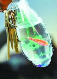Pocket Aquariums (UPDATE) Image 3