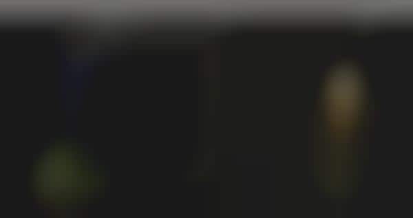 Runway Fashion Boutiques