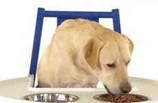 High Chairs for Dogs