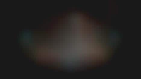 Zany Festival Trailers